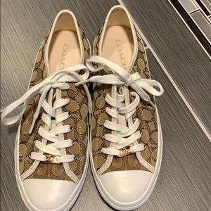 Coach sneakers, brand new